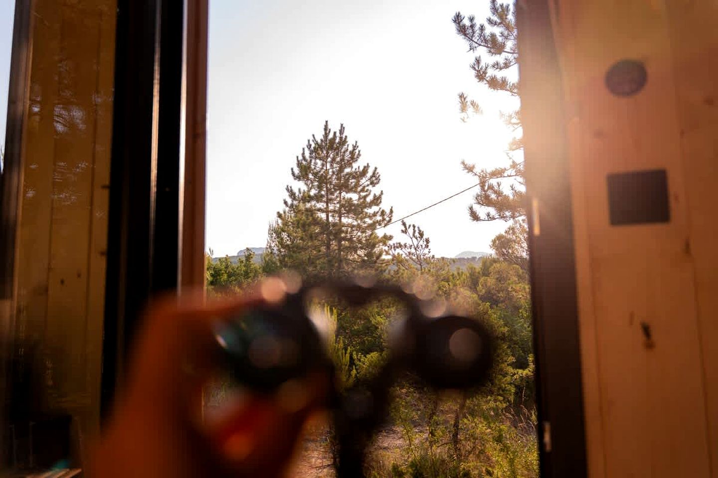 Peaceful Nature Refuge on an Equestrian Farm near Montélimar, Drôme
