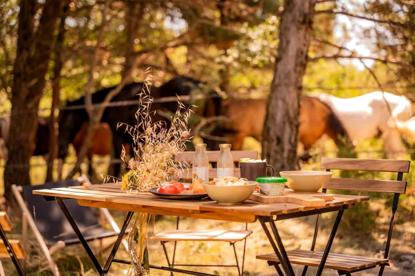 Peaceful Nature Refuge on an Equestrian Farm near Montélimar, Drôme
