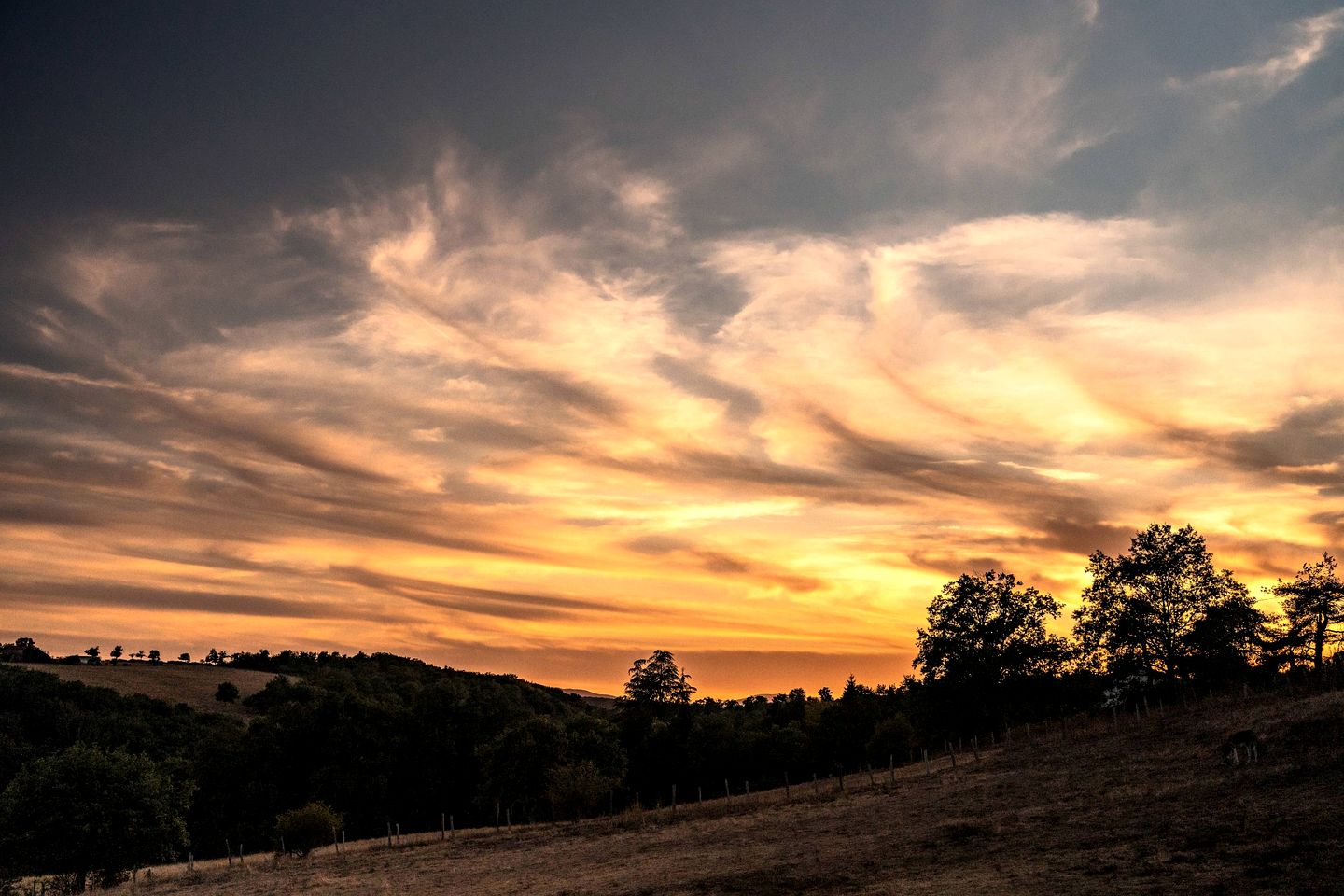 Panoramic Eco Tiny Home with Loire River Views near Château de la Roche, Pinay, France