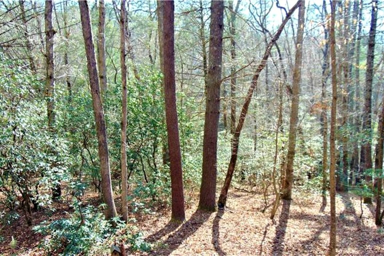 Cabins (United States of America, Blue Ridge, Georgia)