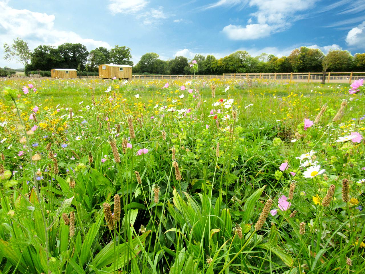 Unique Rural Suffolk Glamping, Ideal for a Farm Retreat