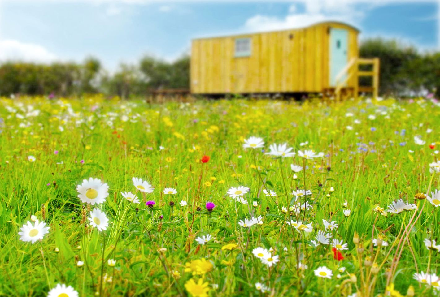 Farm Glamping Holiday in a Shepherd's Hut, Ideal to Explore Framlingham