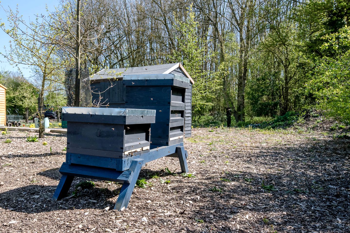 Couples or Family Glamping in a Suffolk Shepherd Hut