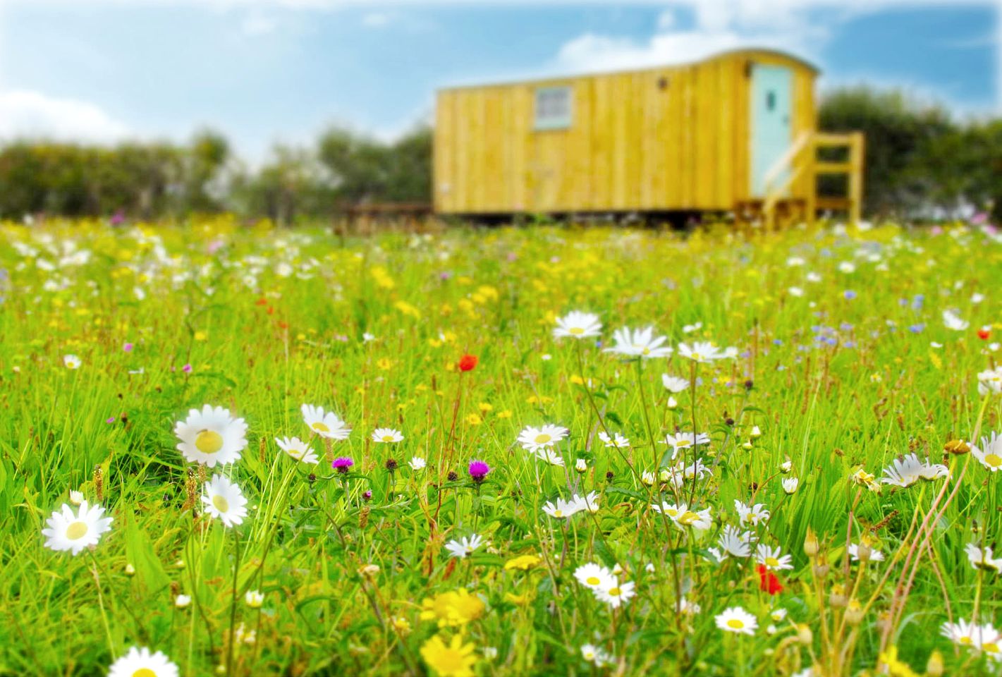 Farm Glamping in Suffolk, Perfect for a Countryside Holiday
