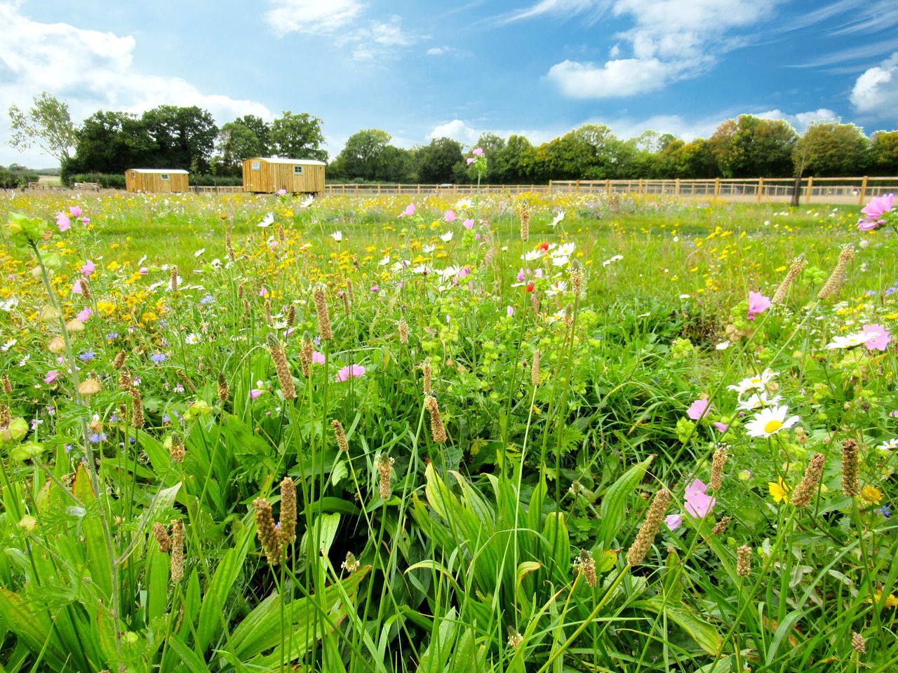 Farm Glamping in Suffolk, Perfect for a Countryside Holiday