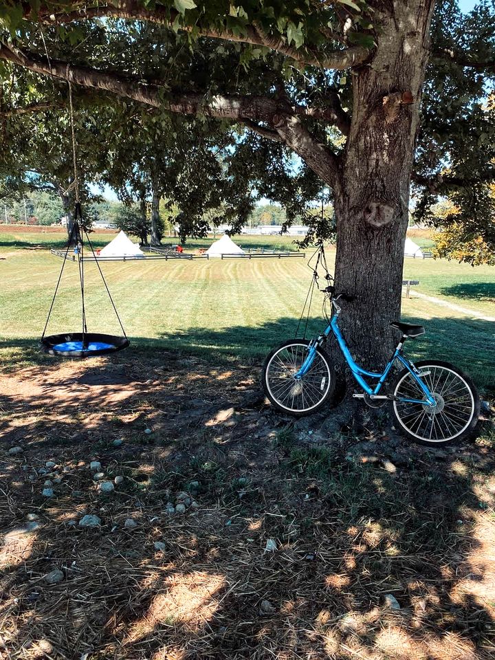 Rustic Stall B&B with Country Breakfast & Bonfires near Old Hickory Lake – Gallatin, Tennessee