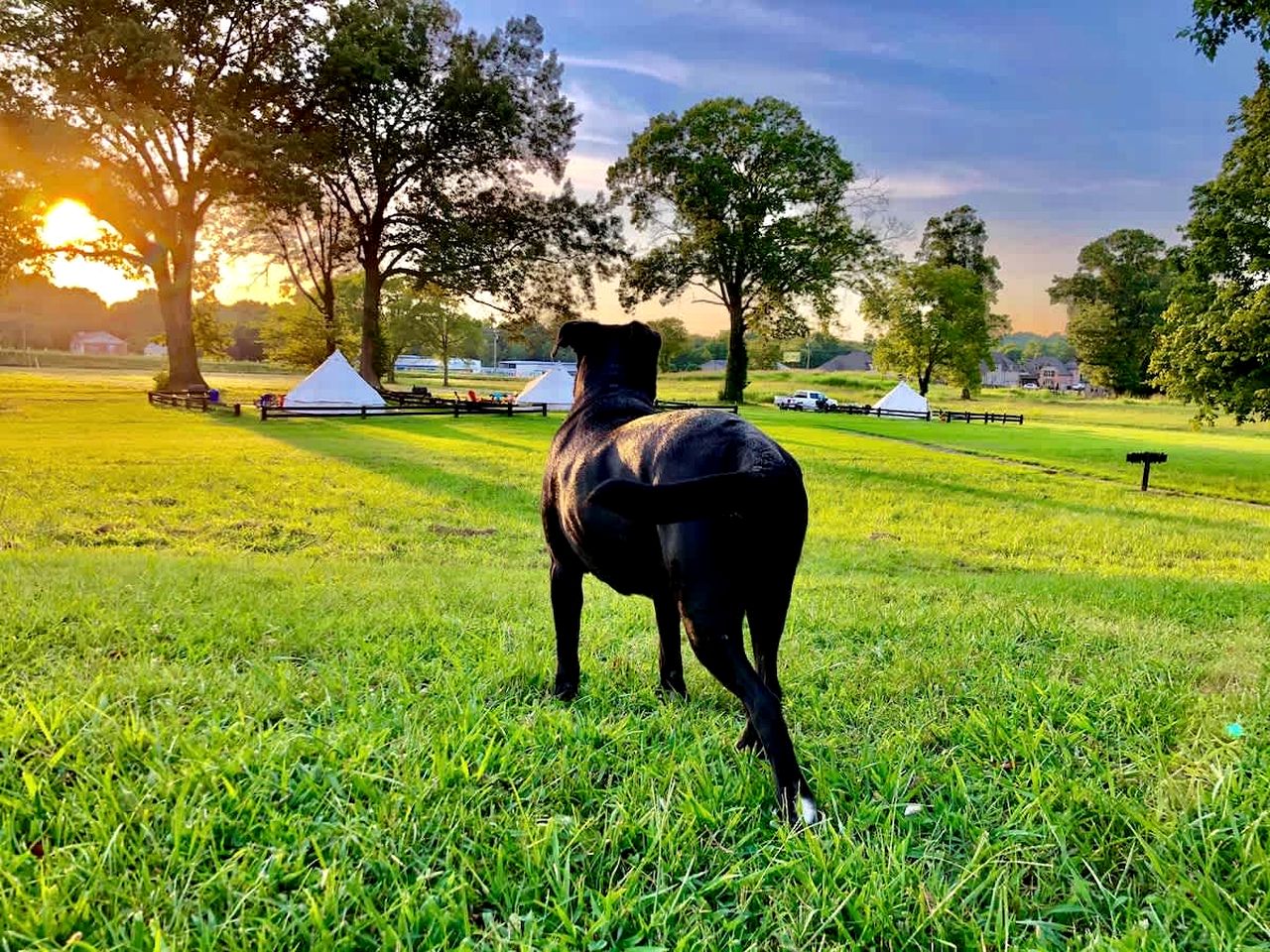 Charming Farm Stay in Gallatin, Tennessee – Iconic Barn Lodging with Private Baths, Breakfast & Near Old Hickory Lake