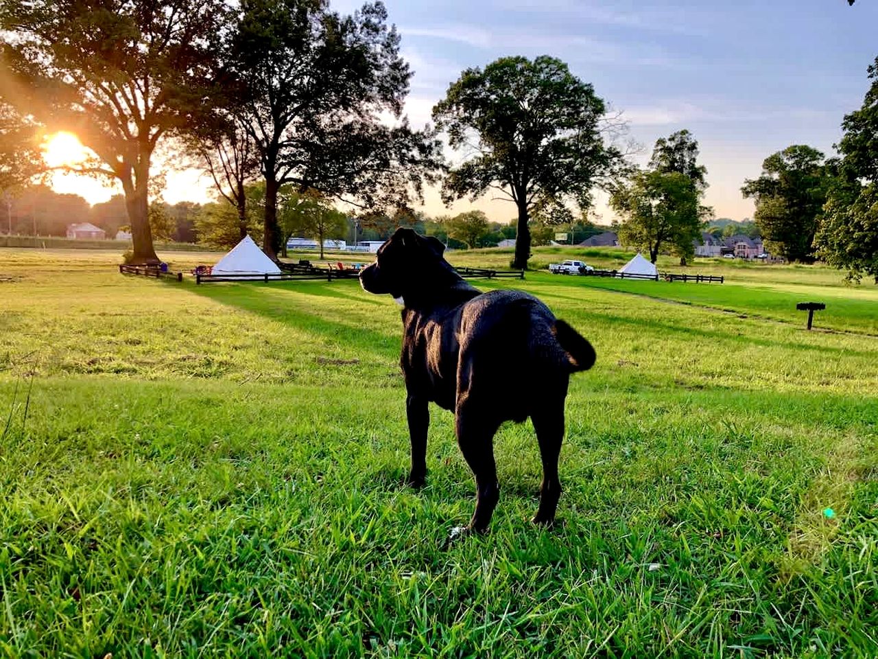 Rustic Farmhouse Stay with Country Breakfast & Private Bath near Old Hickory Lake – Gallatin, Tennessee