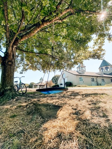 Barns (United States of America, Lebanon, Tennessee)