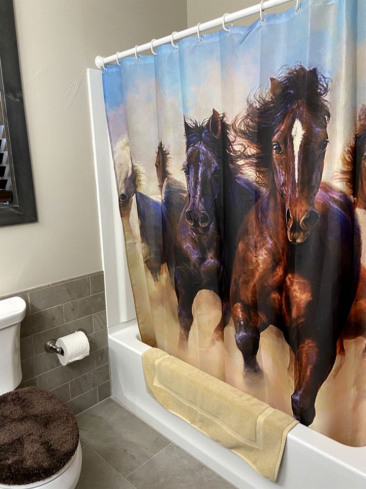 Modern Condominium with Pet-Friendly Drift Boat Parking near Madison River in Ennis, Montana