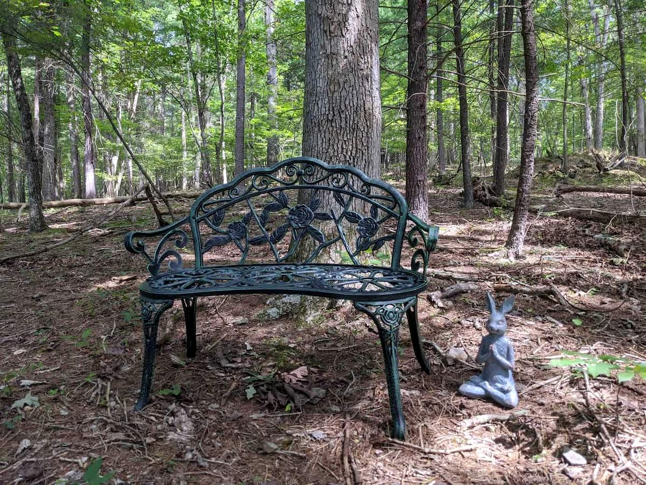 Peaceful Rustic Hideaway with Hot Tub, Fire Pit & Scenic Views in Berkeley Springs, West Virginia