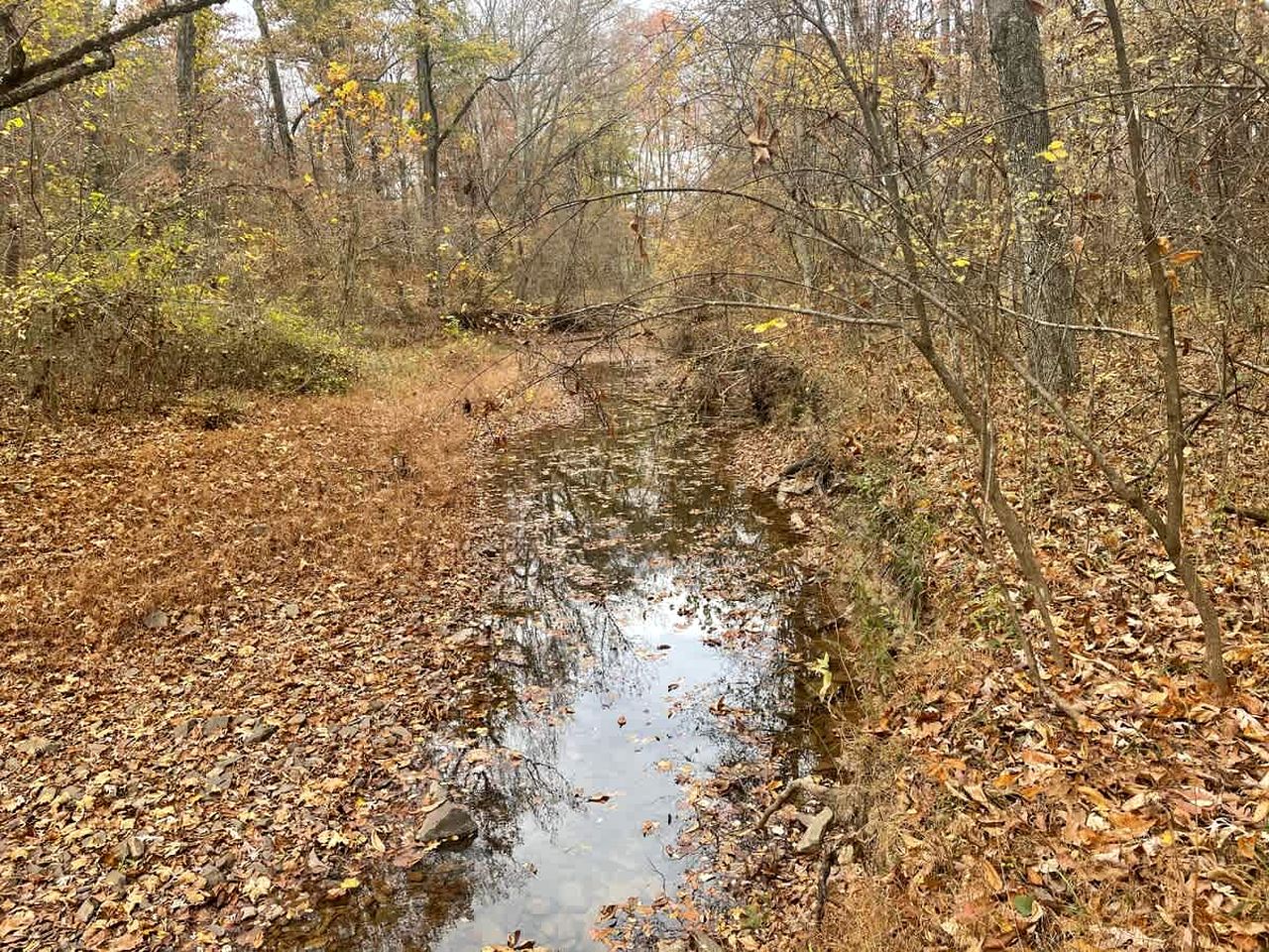 Peaceful Rustic Hideaway with Hot Tub, Fire Pit & Scenic Views in Berkeley Springs, West Virginia