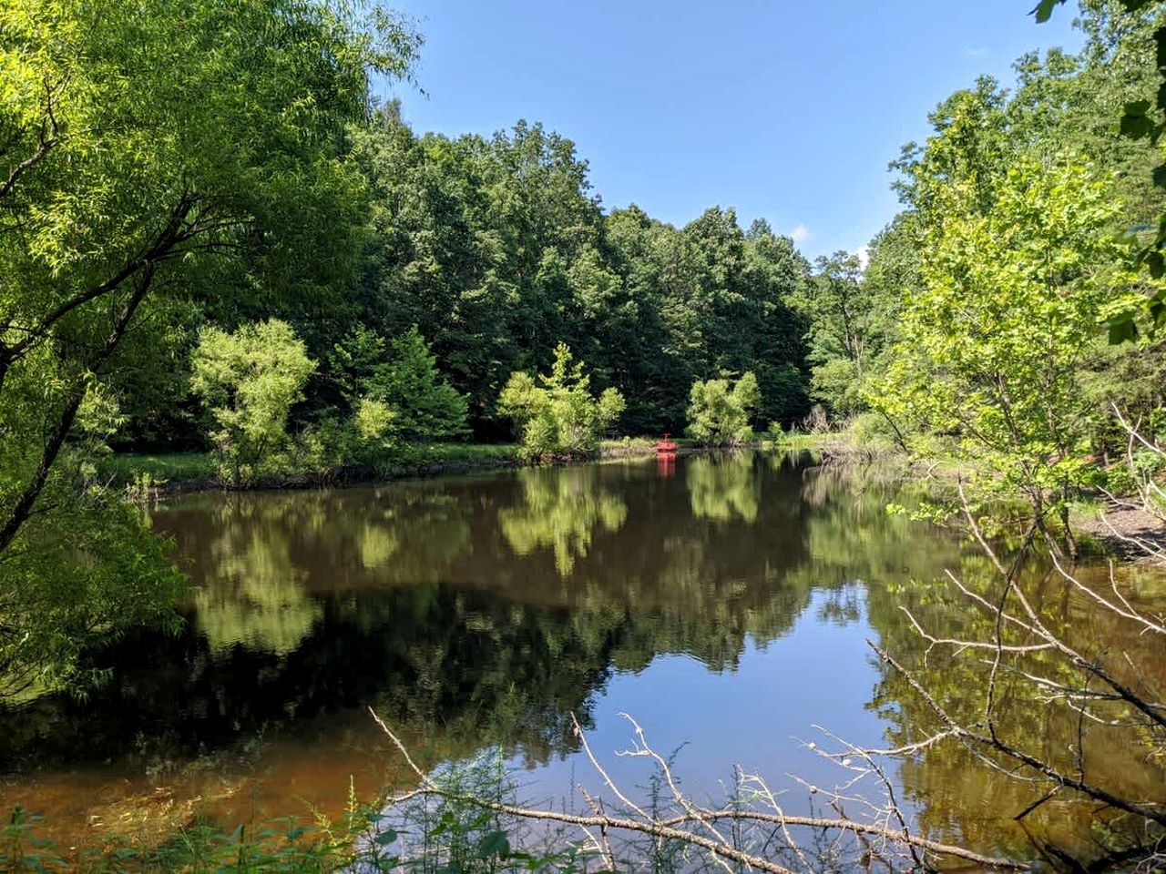 Peaceful Rustic Hideaway with Hot Tub, Fire Pit & Scenic Views in Berkeley Springs, West Virginia