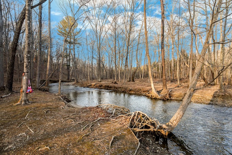 Cabins (United States of America, --, West Virginia)