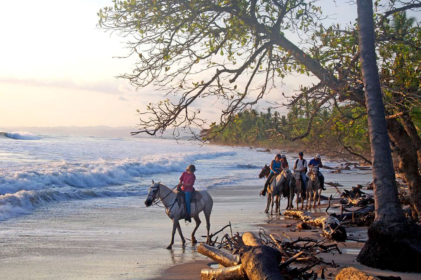 Luxury Tent with a Private Jacuzzi and Beachfront Views in Santa Teresa, Costa Rica