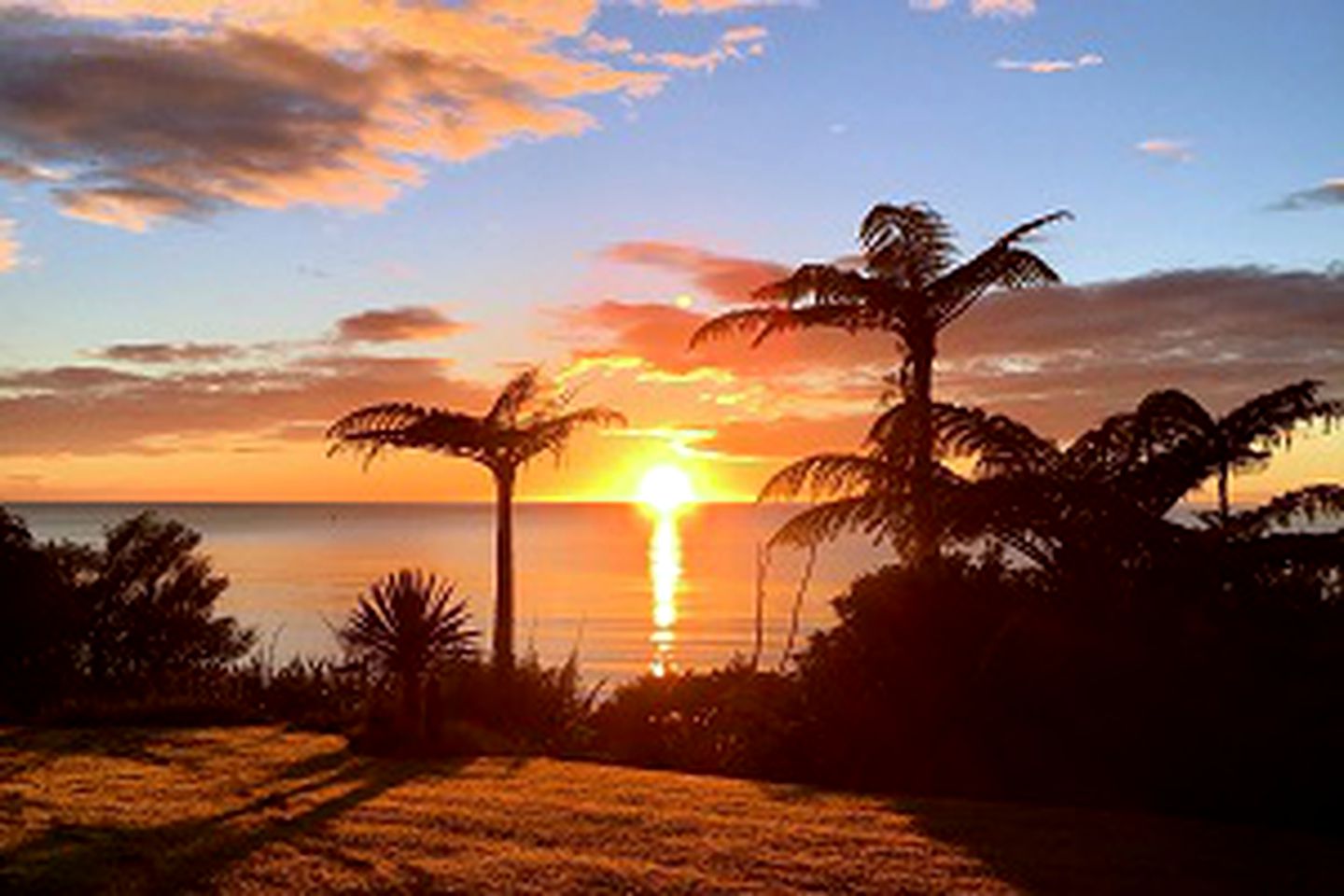 Elegant Beachfront Rental for Couples near Golden Bay, New Zealand