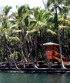 Unusual Cabin with 360-Degree Windows on the Big Island of Hawaii in Pahoa - Photo 2