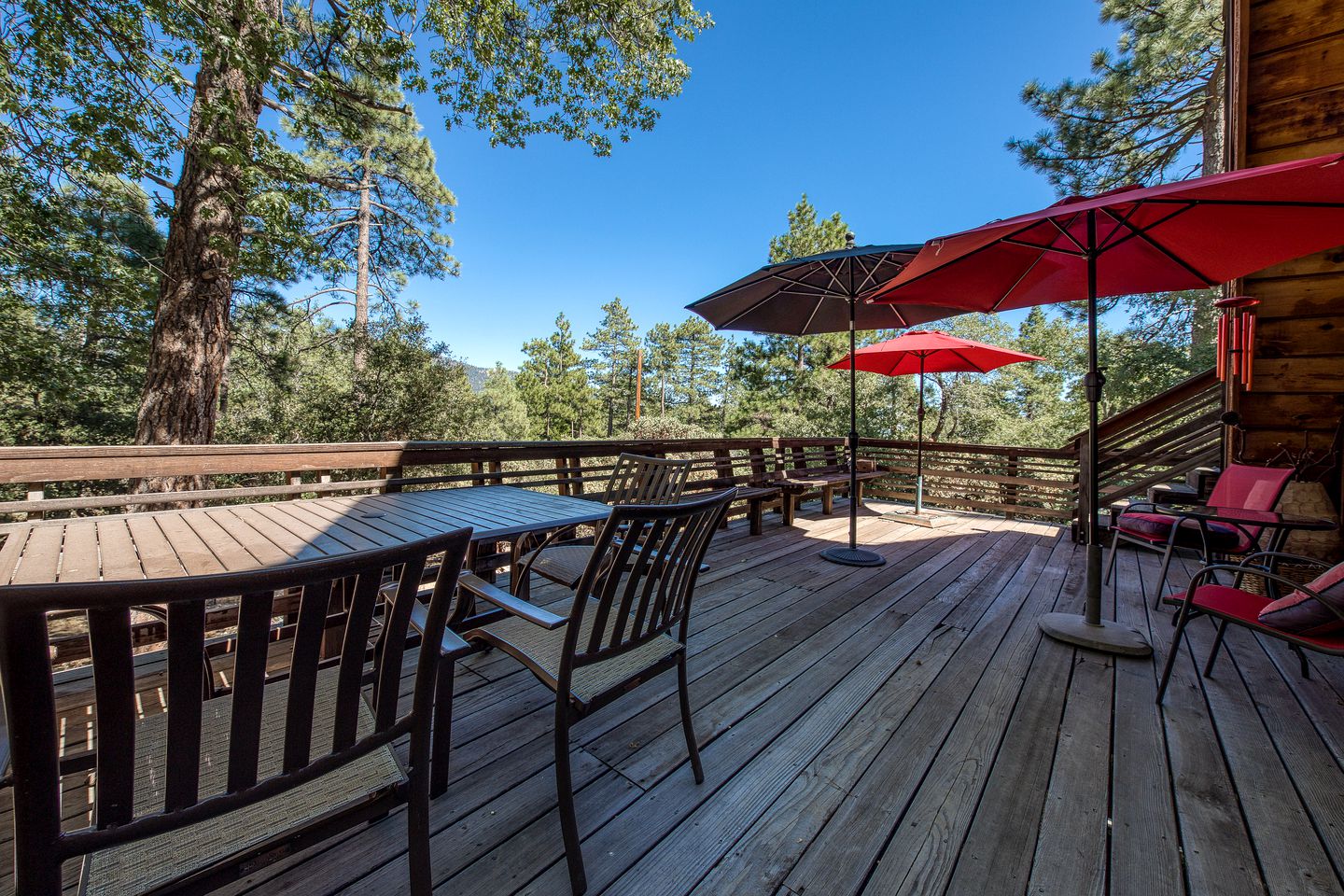 DogFriendly Cabin Rental Idyllwild, California Glamping Hub