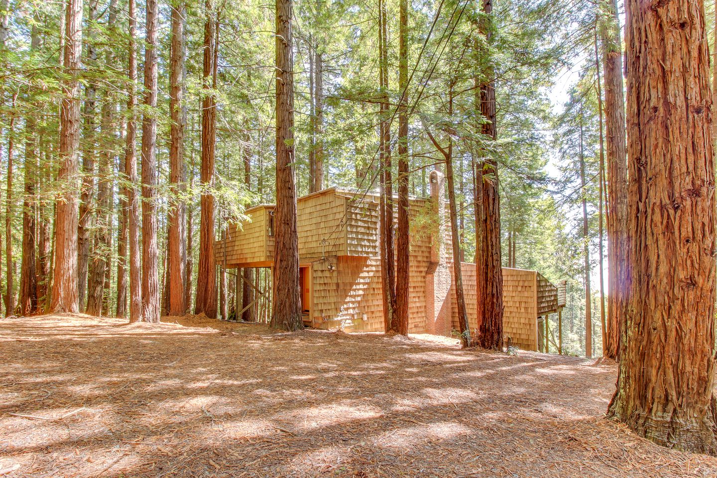 Luxury Cabin Rental in Gualala, California