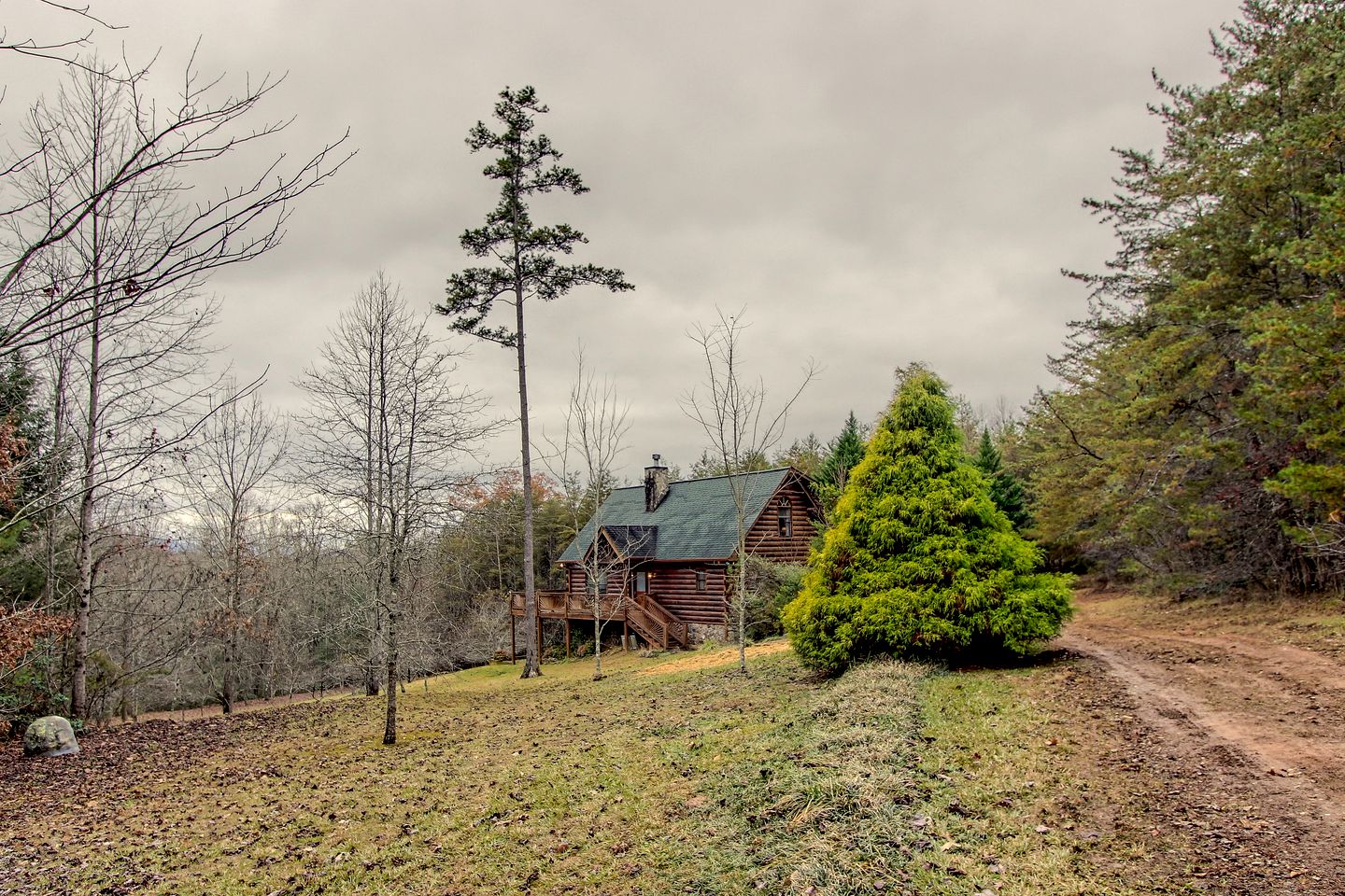 Cabin Mineral Bluff, North Glamping Hub