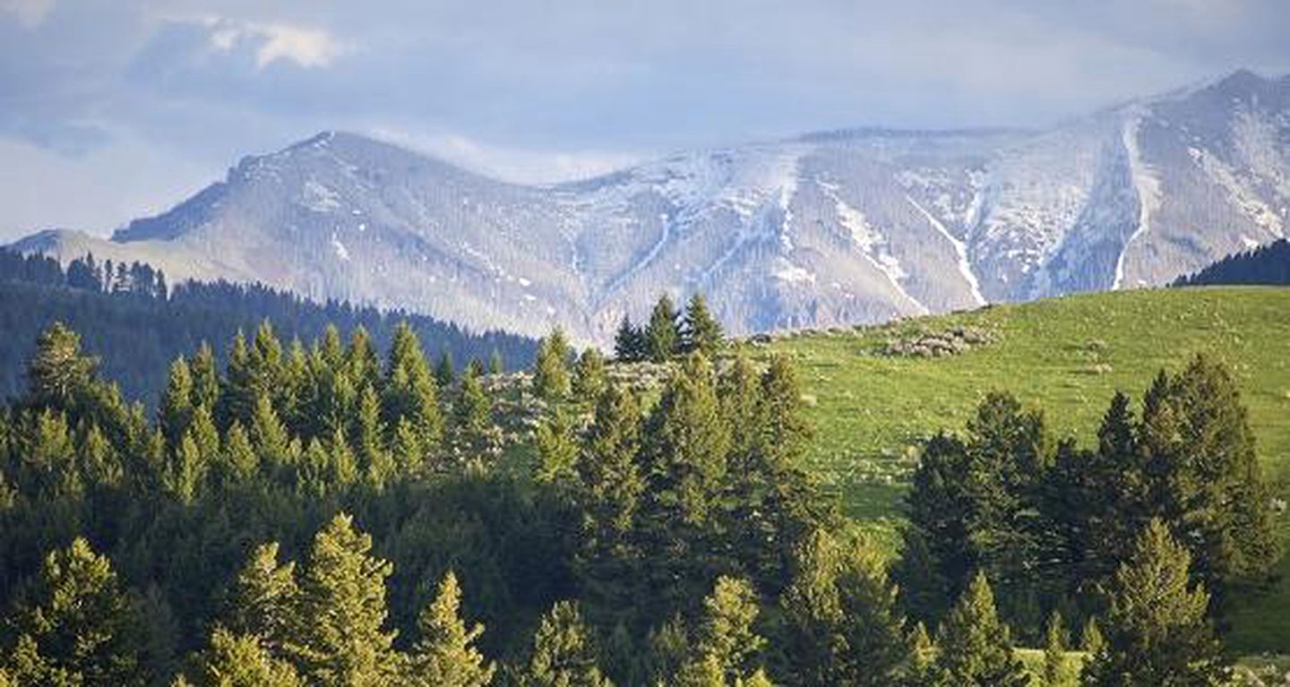 Romantic Getaway with Shared Finnish Sauna near Bridger Canyon, Montana