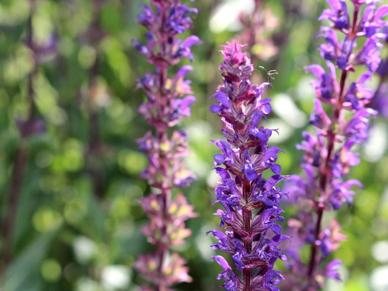 Western Ranch Cabin Getaway on the Big Hole River in Montana