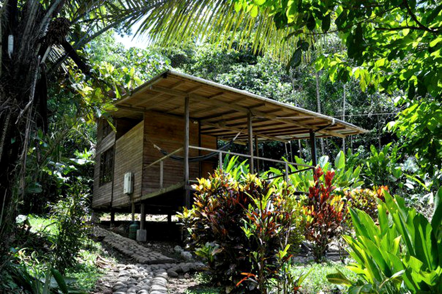 Relaxing Family-Friendly Cabin Rental in Amazon Rainforest, Ecuador