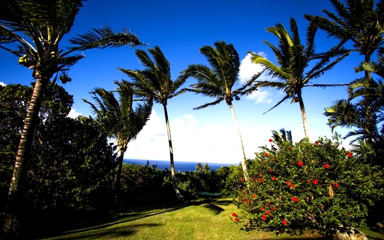 Beach Houses (Huelo, Hawaii, United States)