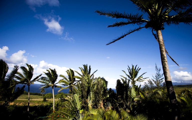 Nature Lodges (Huelo, Hawaii, United States)