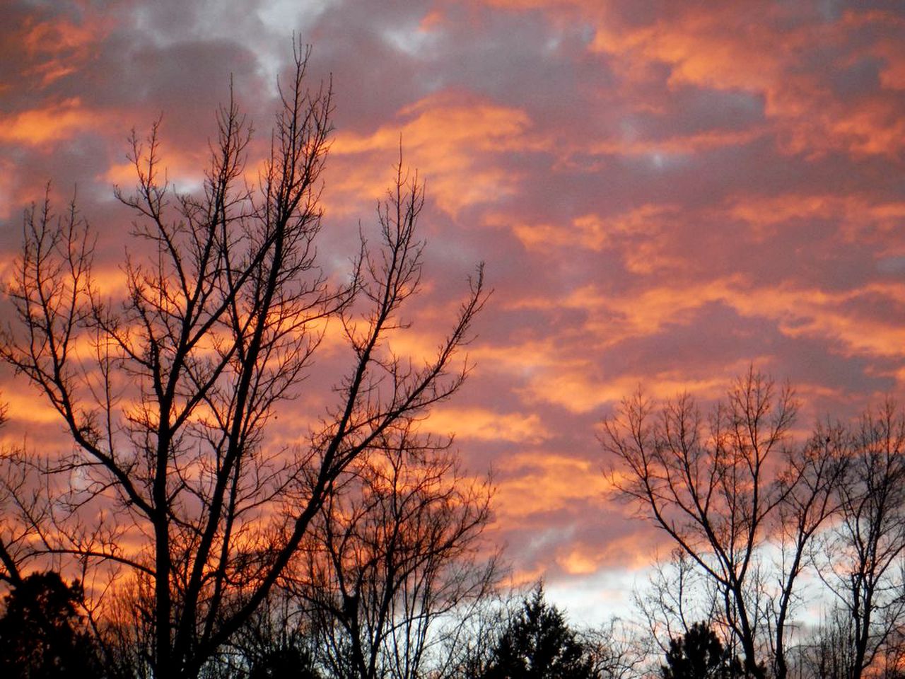 Arkansas Cabin Rental Buffalo River, AR Cabins