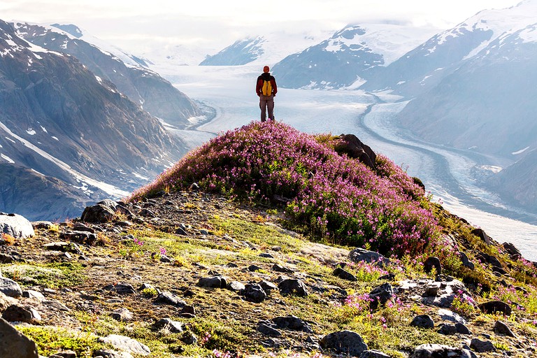 Nature Lodges (Kasilof, Alaska, United States)