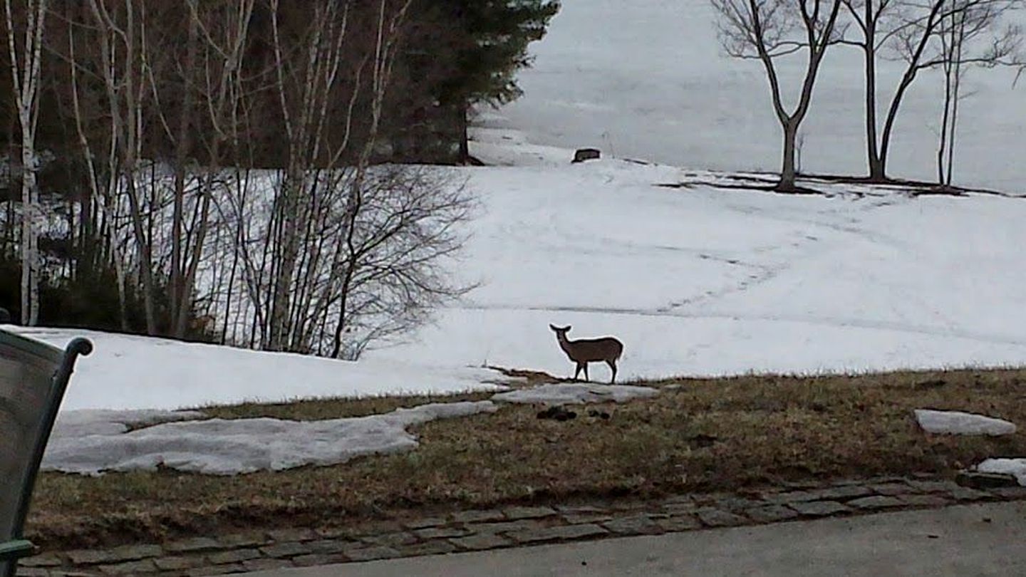 Spectacular Gothic-Style Castle with Private Pool and Hot Tub near Rindge, New Hampshire
