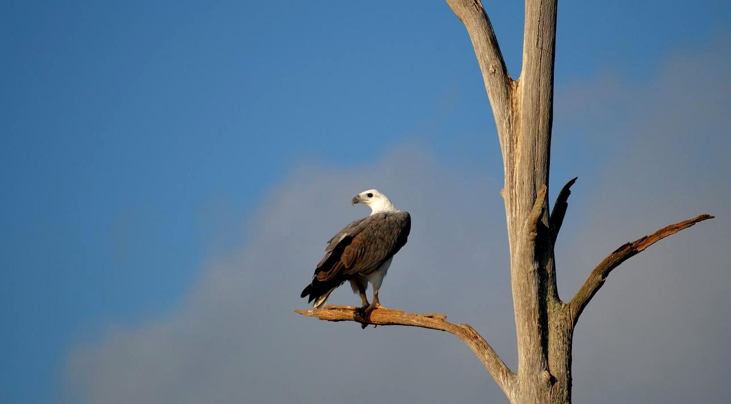 Peaceful Farmhouse Cottage Rental with a Hot Tub in Quorrobolong, New South Wales