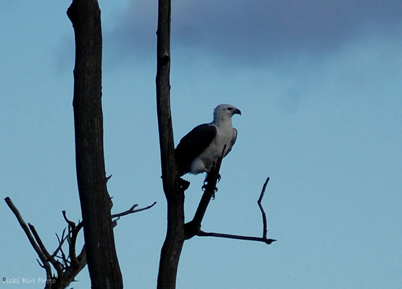 Peaceful Farmhouse Cottage Rental with a Hot Tub in Quorrobolong, New South Wales