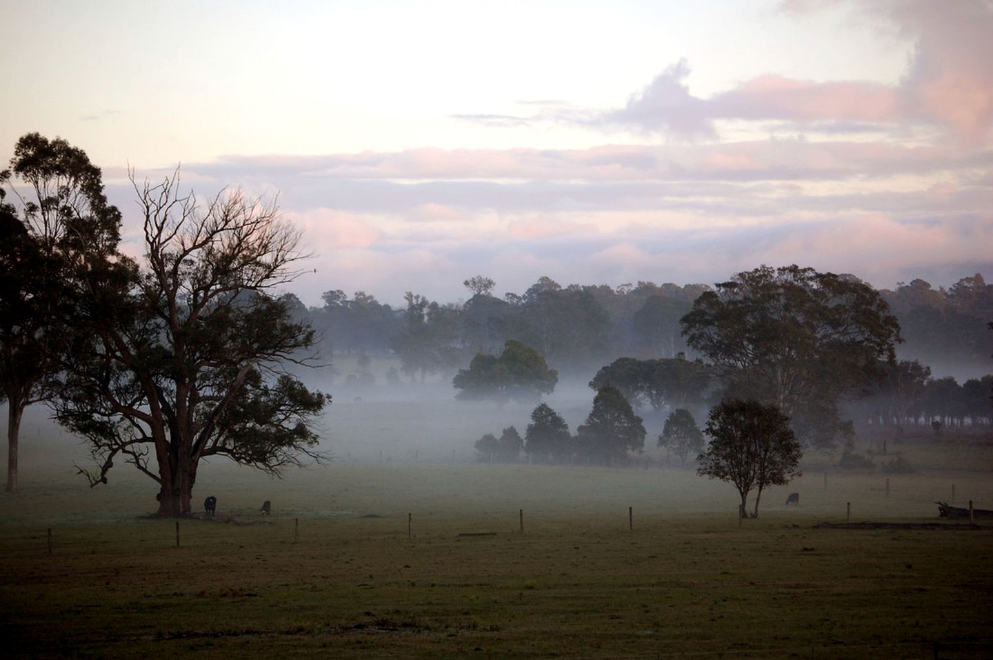 Peaceful Farmhouse Cottage Rental with a Hot Tub in Quorrobolong, New South Wales