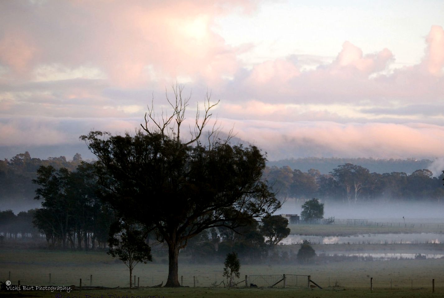Peaceful Farmhouse Cottage Rental with a Hot Tub in Quorrobolong, New South Wales