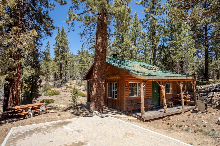 Log Cabins (Angelus Oaks, California, United States of America)