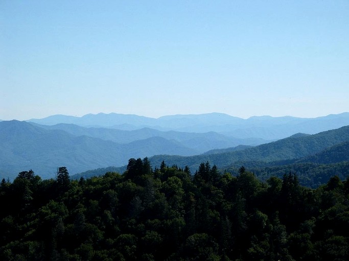 Vacation Rentals (United States of America, --, --)