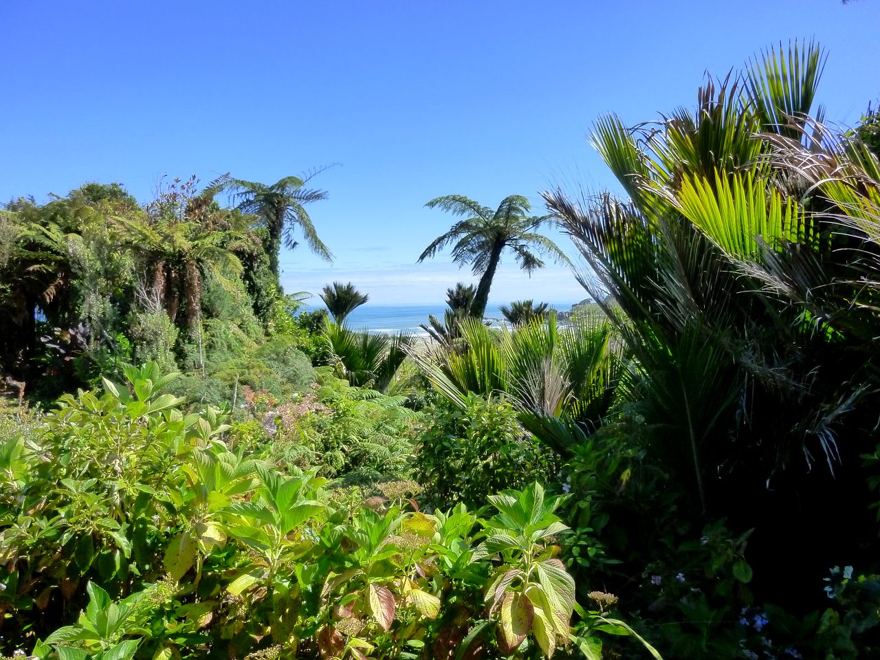 Cottage Rental for Couples on West Coast of South Island, New Zealand