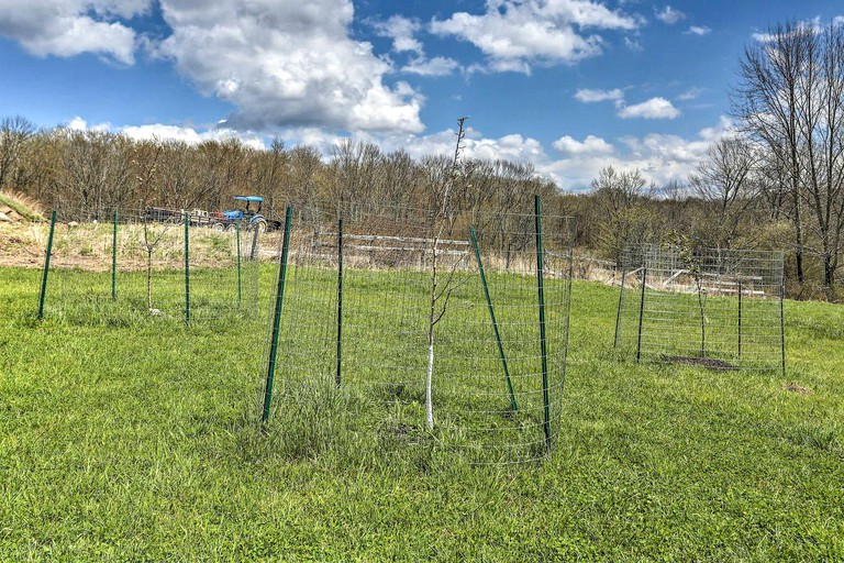 Cottages (Scranton, Pennsylvania, United States of America)