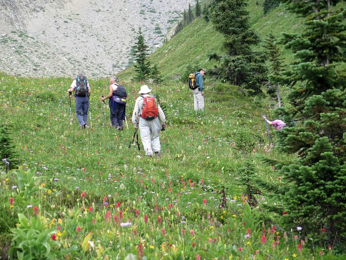 Cabins (Golden, British Columbia, Canada)
