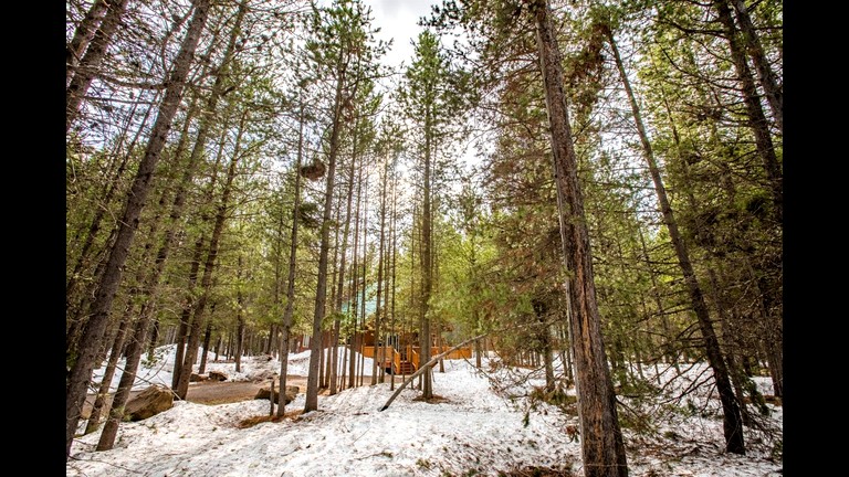 Cabins (United States of America, Idaho City, Idaho)
