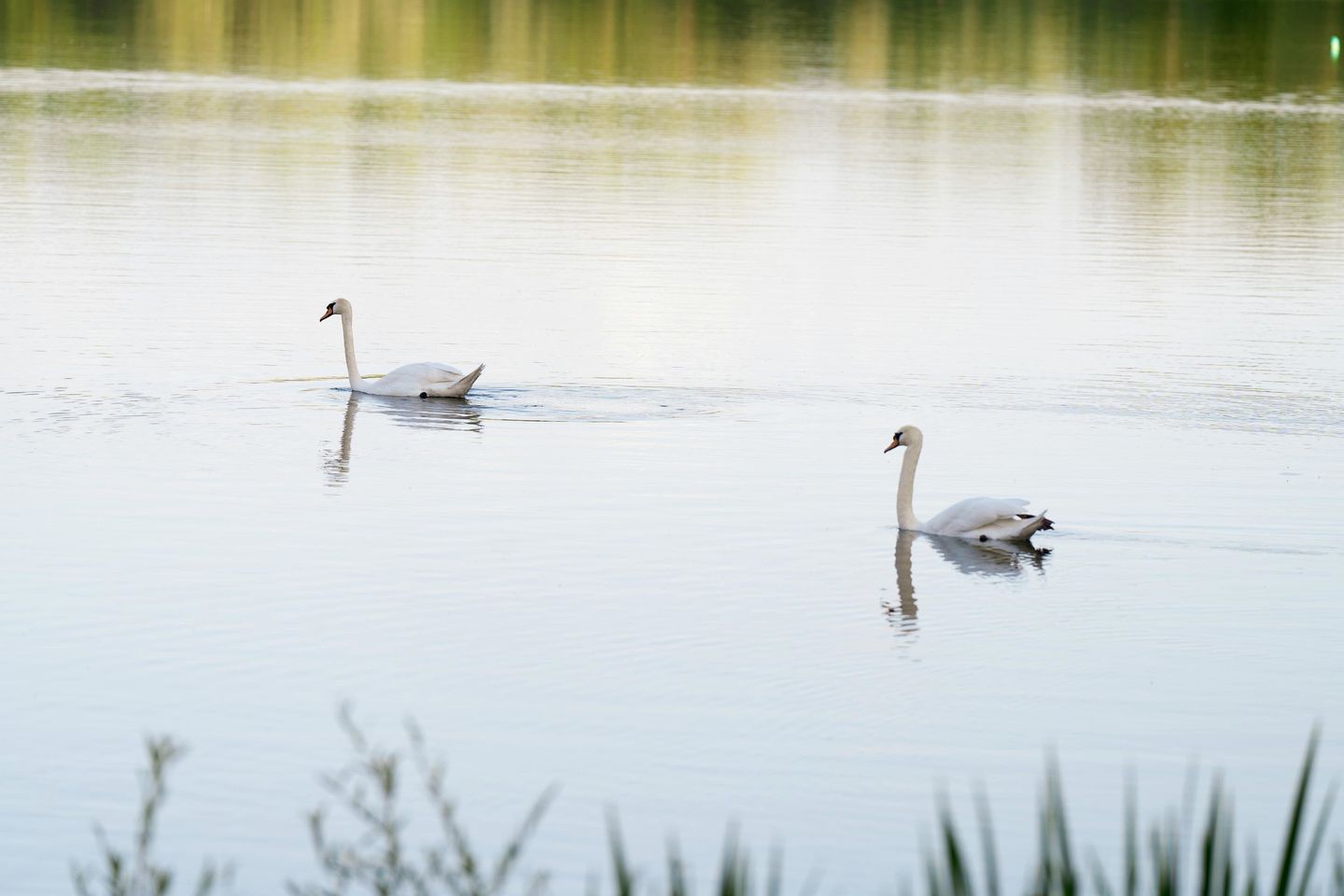 Ideal Lakeside Tiny House Perfect for Picnics and Disconnect in Mantes-la-Ville, France