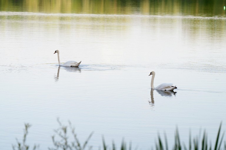 Tiny Houses (France, Mantes-la-Ville, Île-de-France)