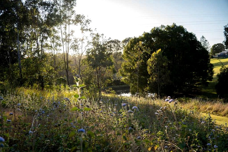 Tiny Houses (Australia, Perwillowen, Queensland)