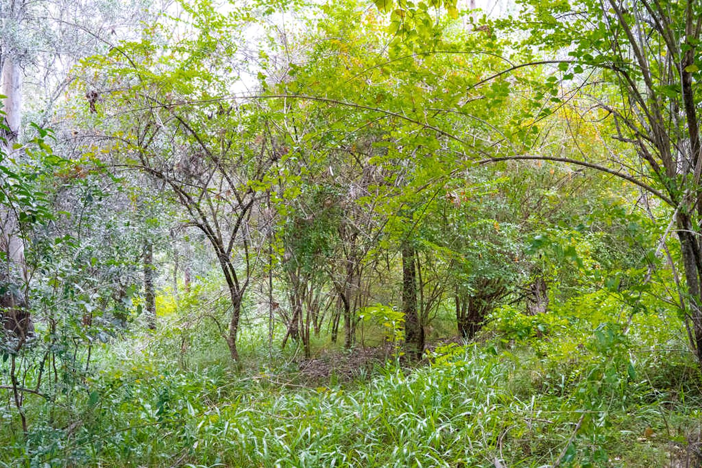 Ideal Tiny House Retreat Perfect for a Romantic Getaway in Queensland, Australia