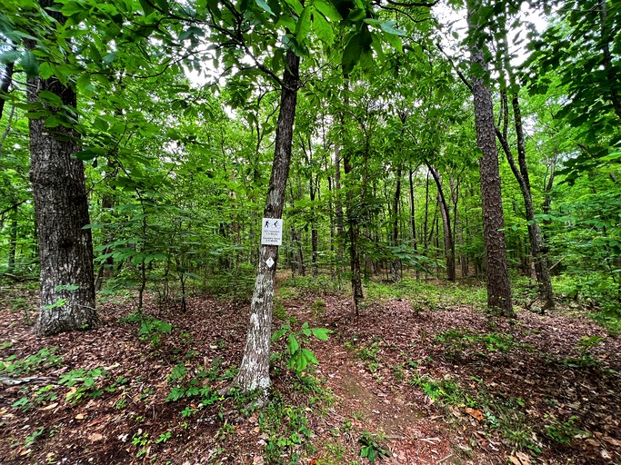 Cabins (United States of America, Fort Payne, Alabama)