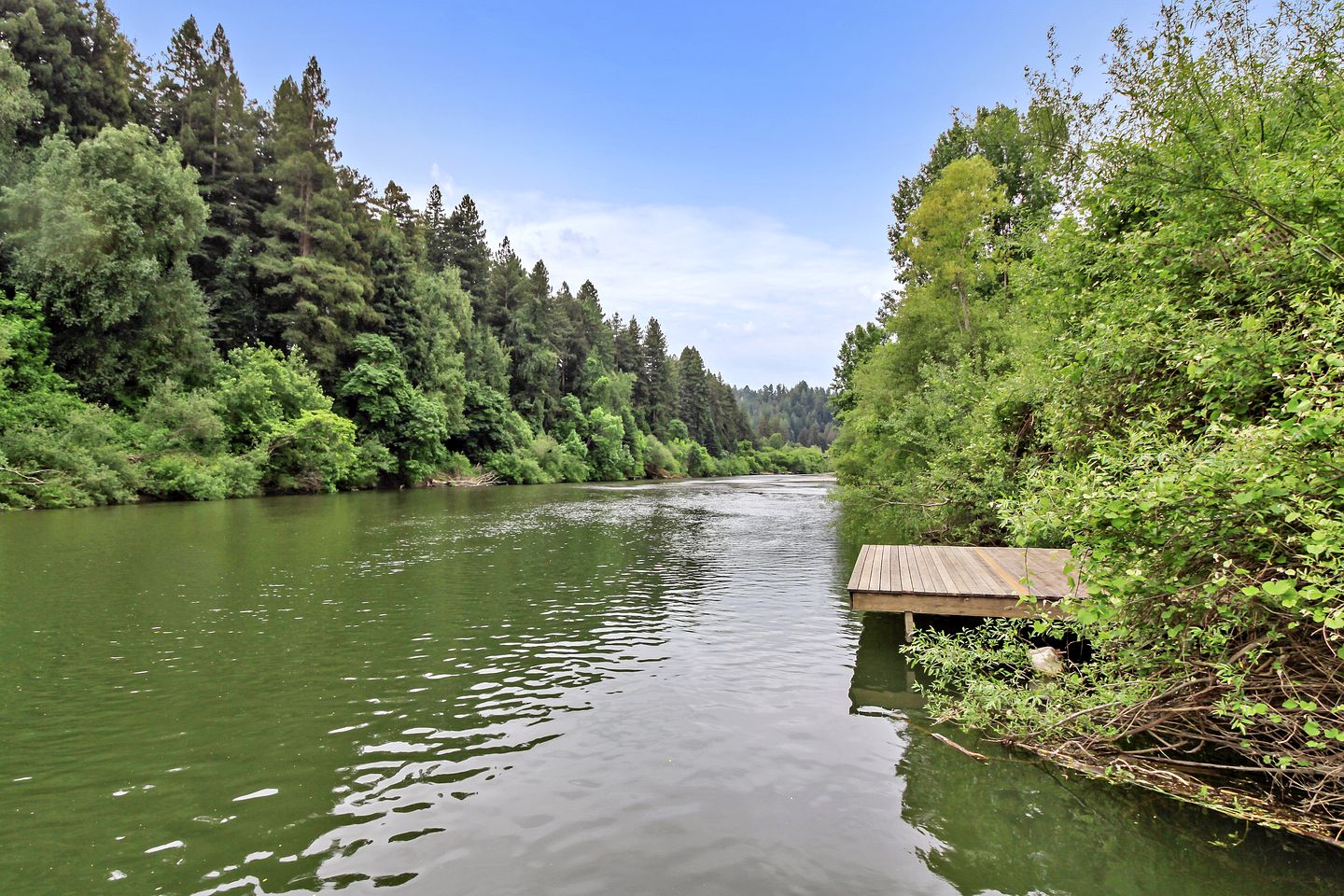 Stunning Cabin with River Access in Guerneville, California