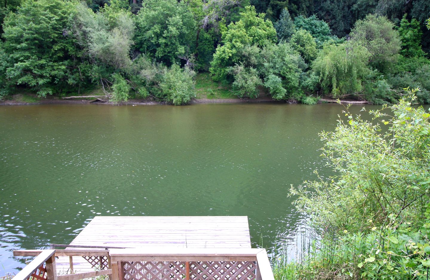 Stunning Cabin with River Access in Guerneville, California