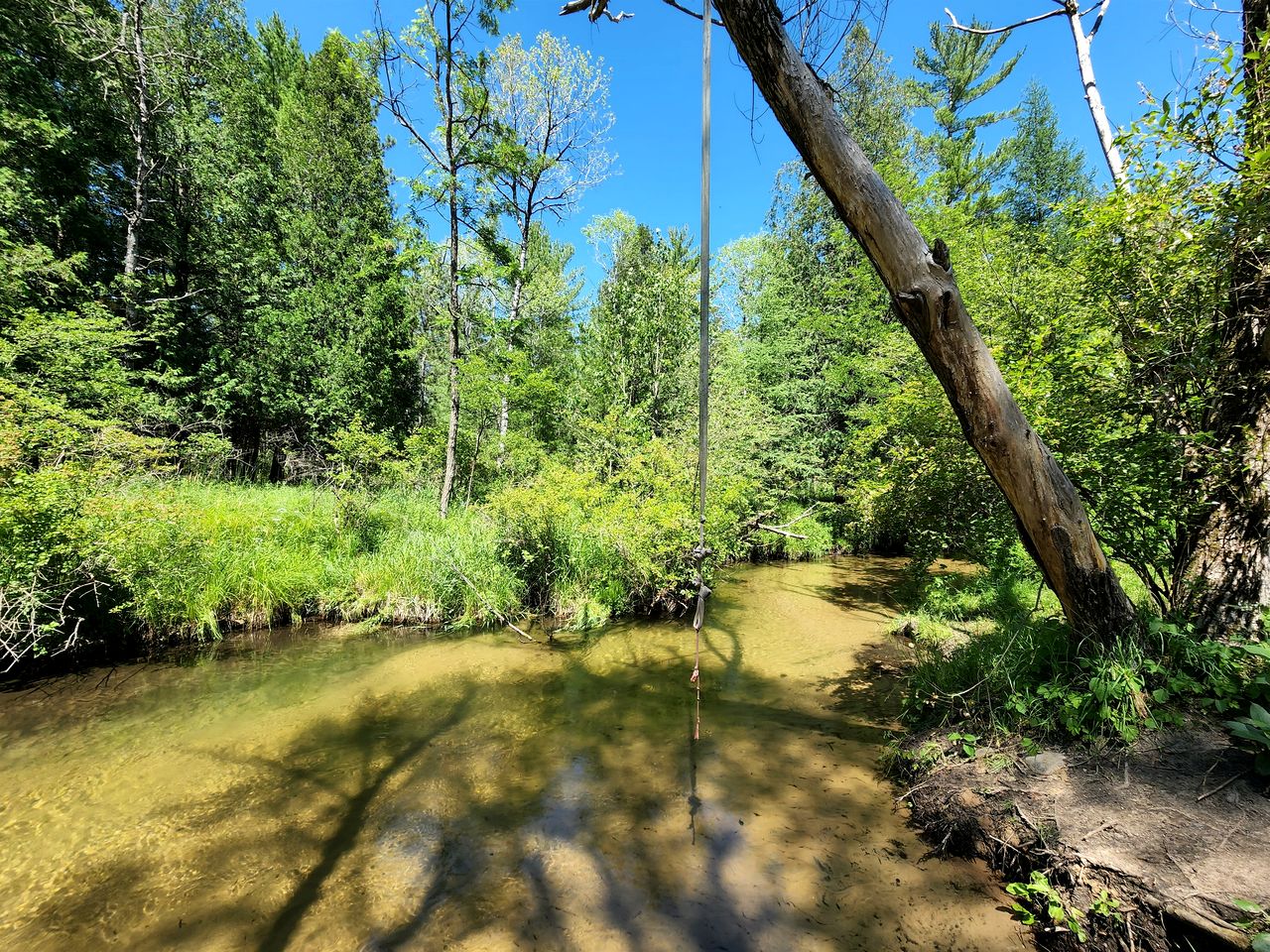 Secluded Rustic Cabin with Hot Tub Near Pere Marquette River in Big Rapids, Michigan